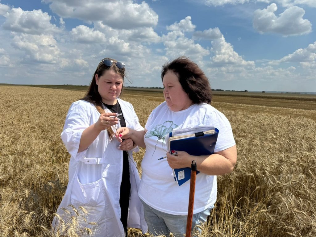    Фото: ФГБУ «Россельхозцентр» по Ростовской области Редактор