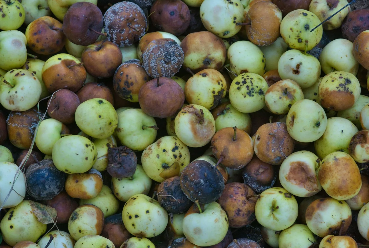 Нужно действовать на опережение и применять комплексный подход.