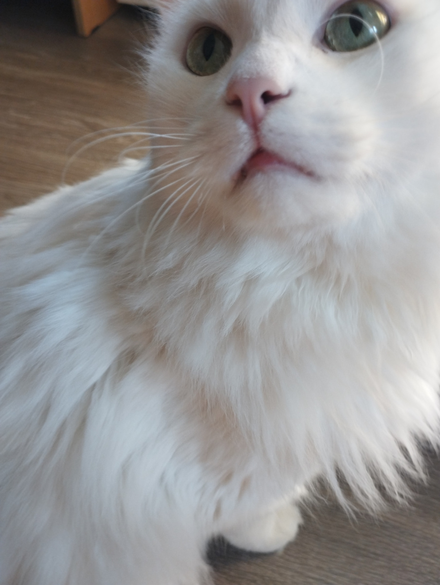 Сёма на год старше нашего ребенка. Ему 5,5.