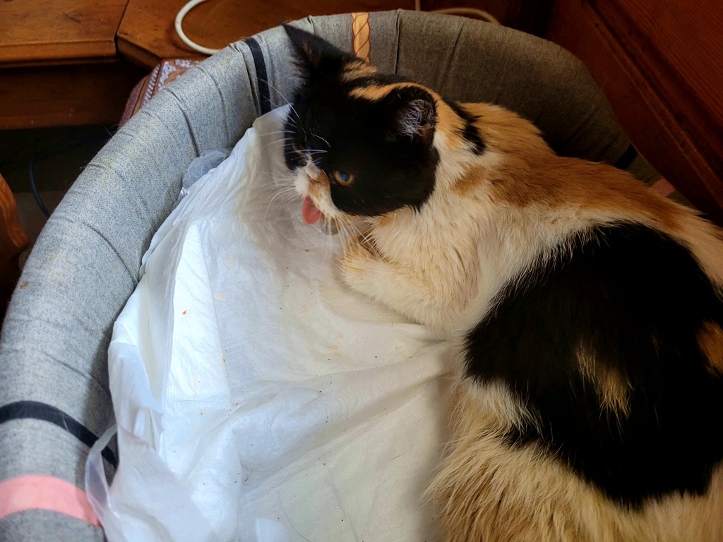 Одна из последних фотографий...