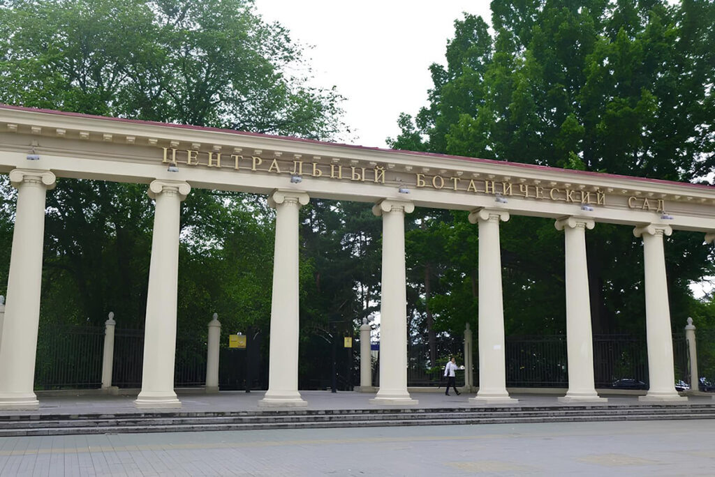    Фото из интернета