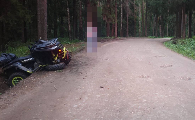    © Госавтоинспекция Всеволожского района Ленинградской области