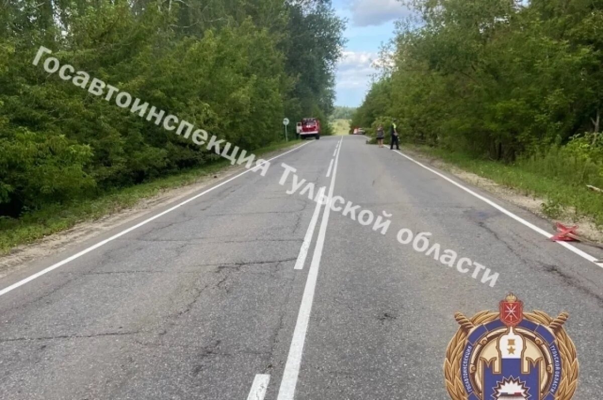    Двух маленьких девочек госпитализировали после ДТП в Одоевском районе