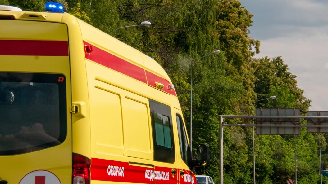    Svetlana Vozmilova/Globallookpress