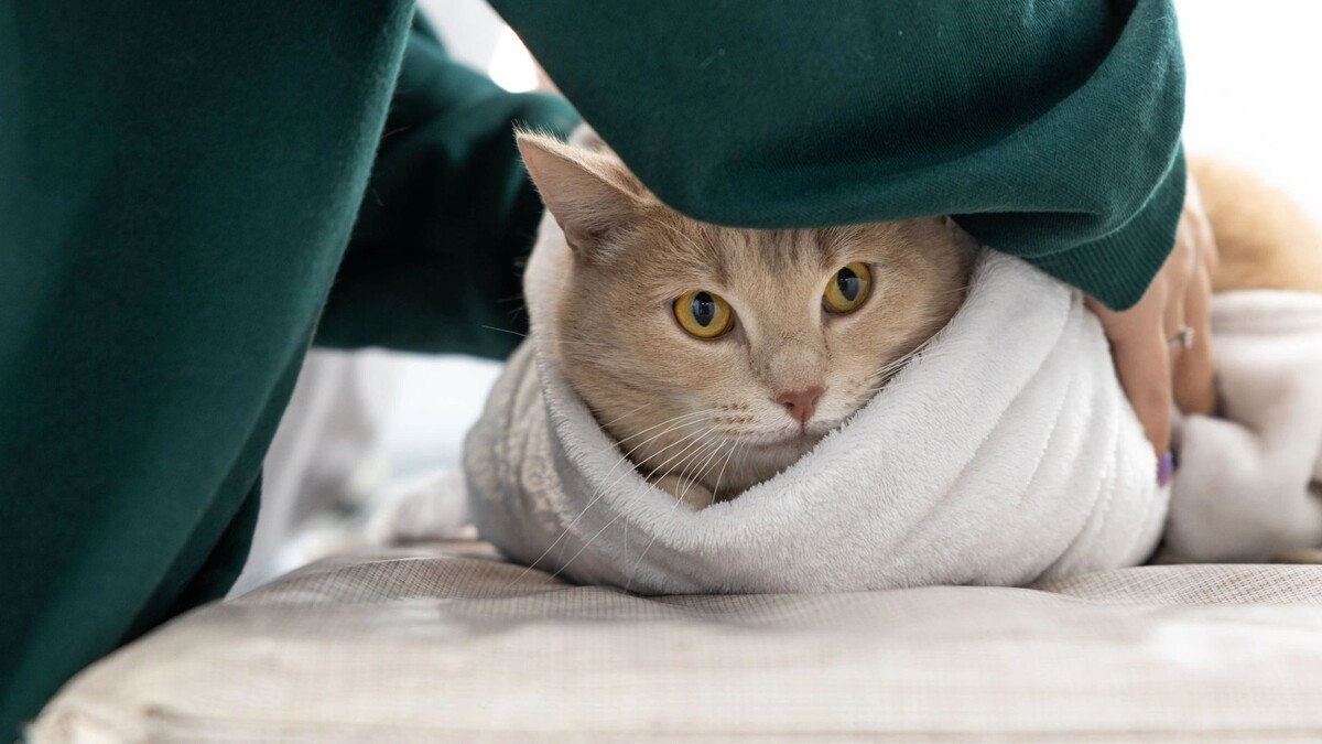    Фото: Федор Воронов / «Ямал-Медиа»