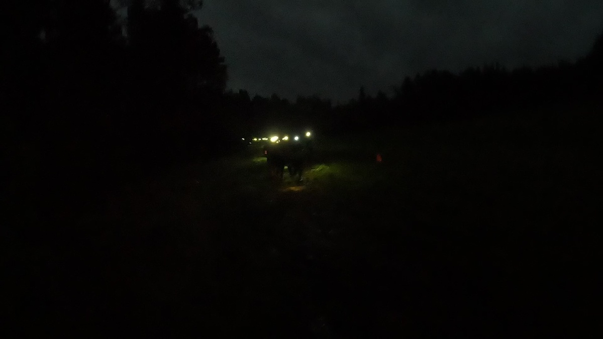 Из-за поворота