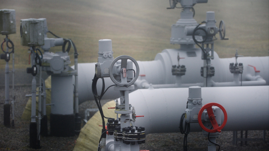    Фото: © РИА Новости/Алексей Витвицкий