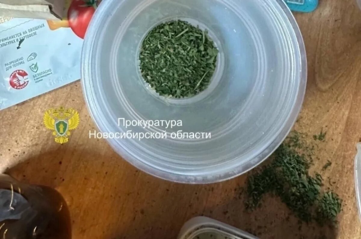    Более 170 кустов конопли вырастил предприимчивый житель НСО