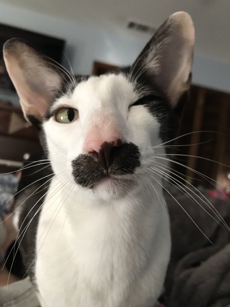 #Астропрогноз на 11-17 августа 2025. Ключевые аспекты дня