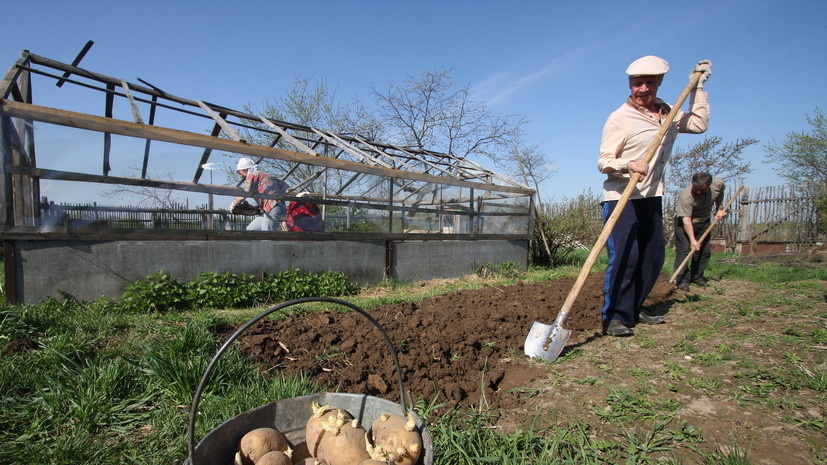   РИА Новости