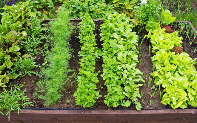 Источник фото: shutterstock.com