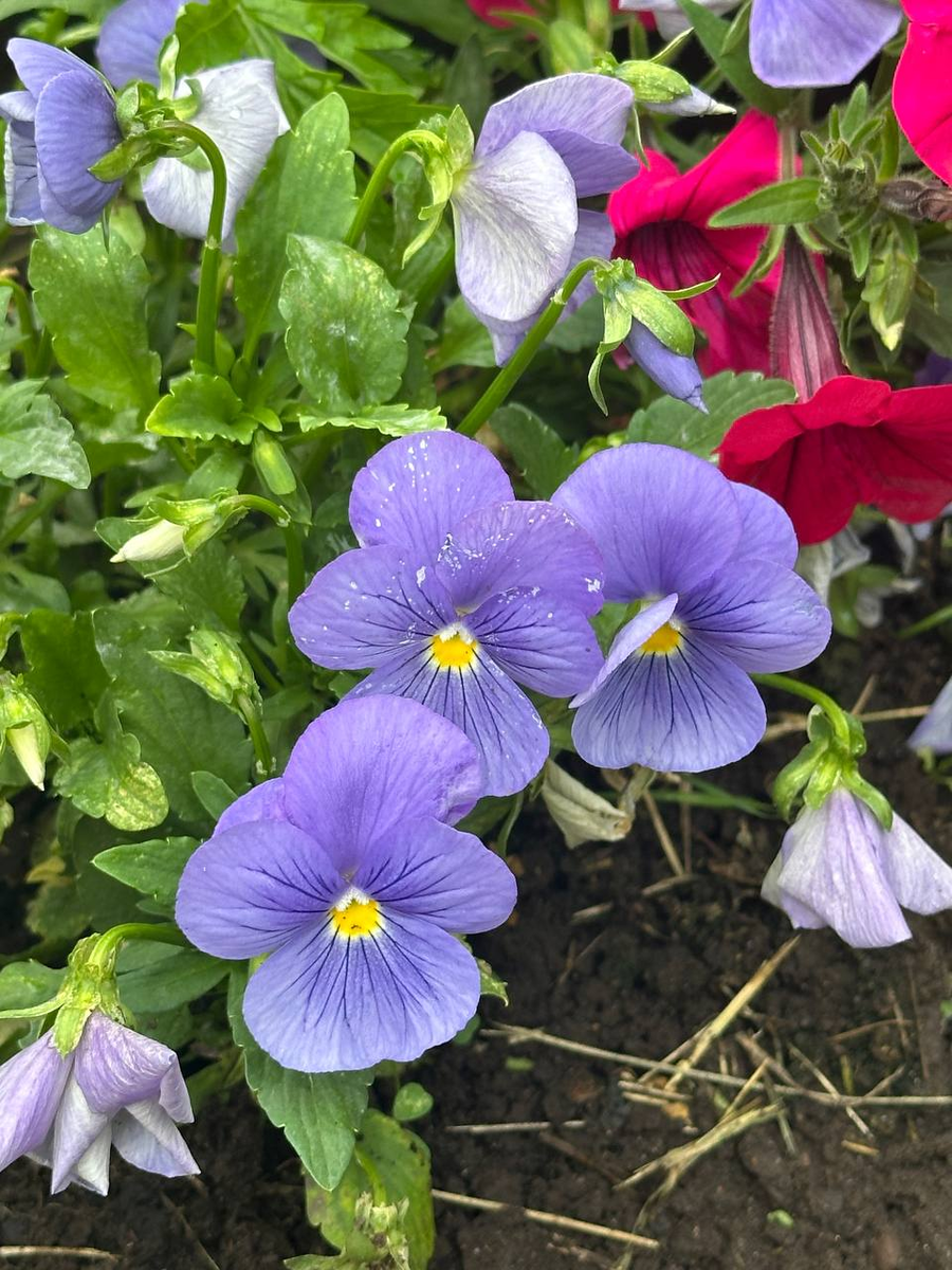 Фотография автора