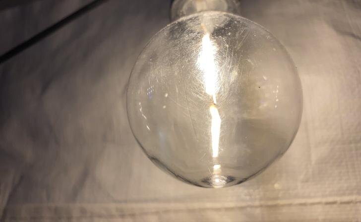    фото Курские Известия