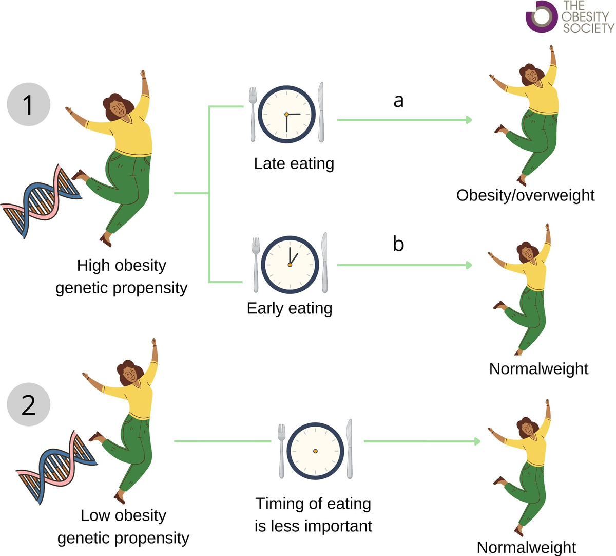 При генетической предрасположенности к ожирению каждый час более позднего приема пищи приводит к большему набору веса и снижению возможности похудеть.