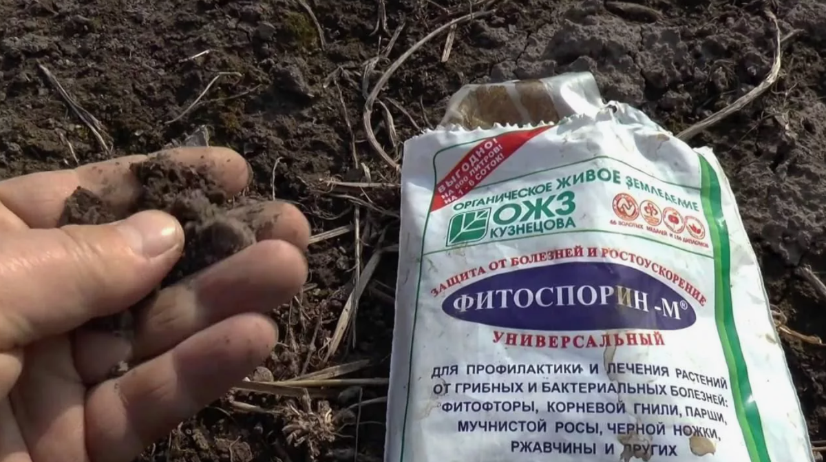 Эти патогены могут оставаться в почве и на растительных остатках, а потом с новыми силами атаковать ваш будущий урожай.