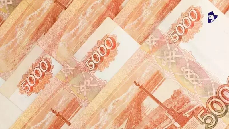      Фото: ИА «Победа26»