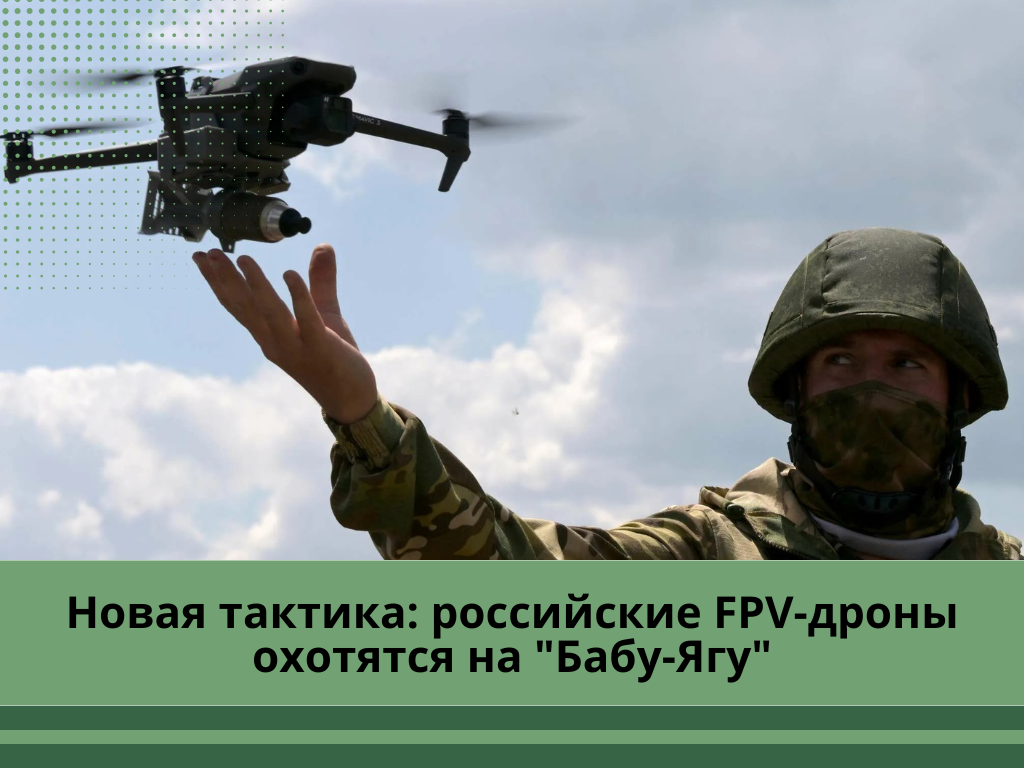 Фото: yandex.net