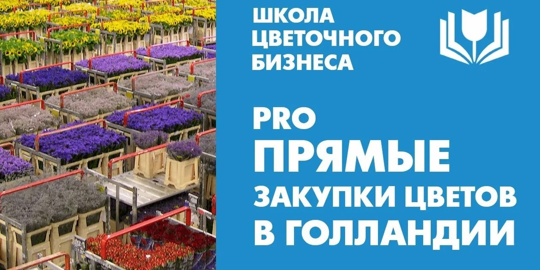Закупка цветов оптом в Голландии. Когда лучше начинать?