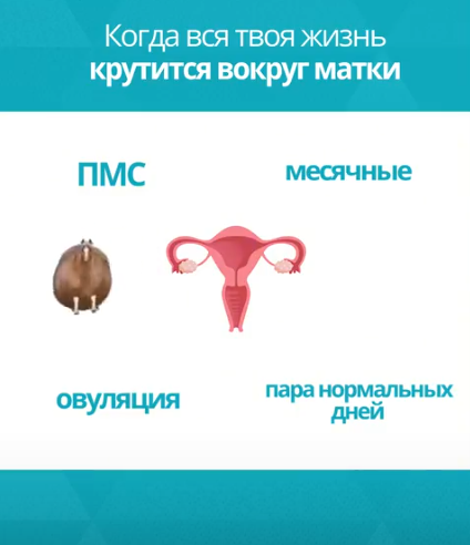 https://vk.com/clip-228373100_456239062