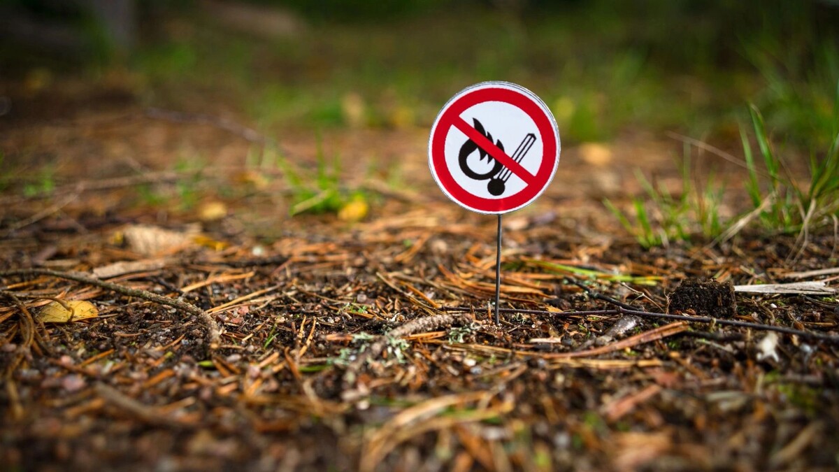    Фото: Svetliy/Shutterstock/Fotodom