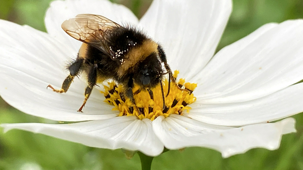    ФОТО: Alexander Legky/Globallookpress