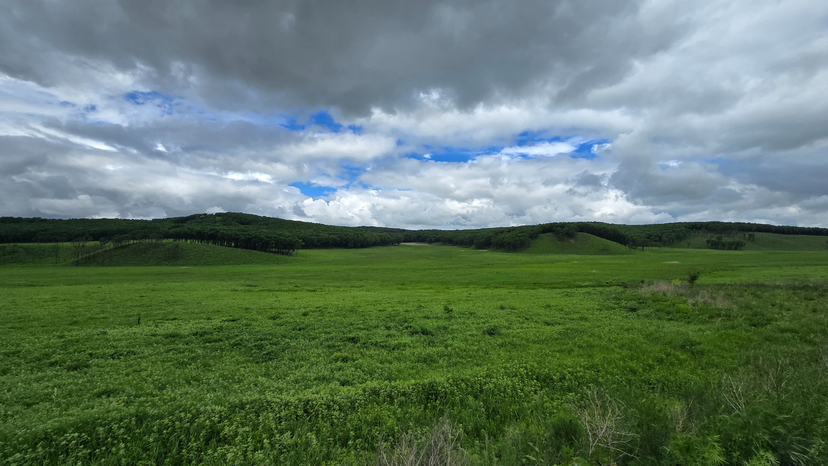 Поля и сопки