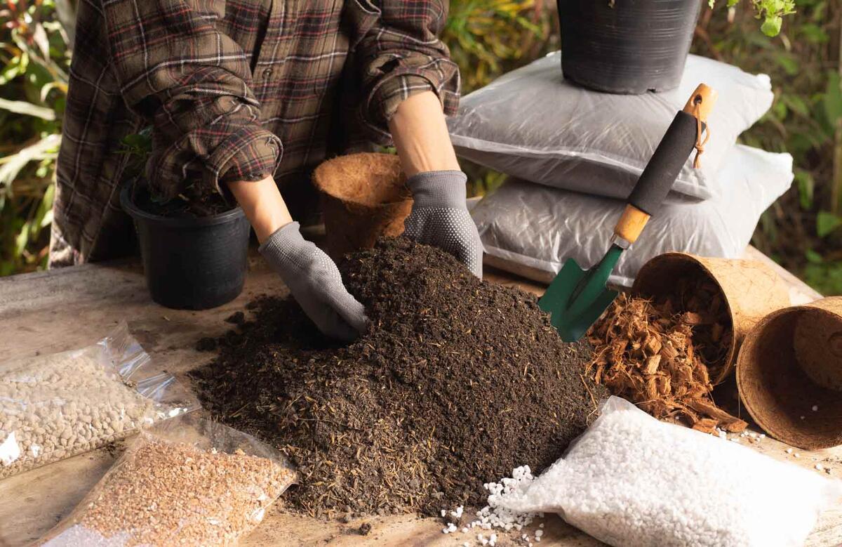 Подкормка почвы осенью