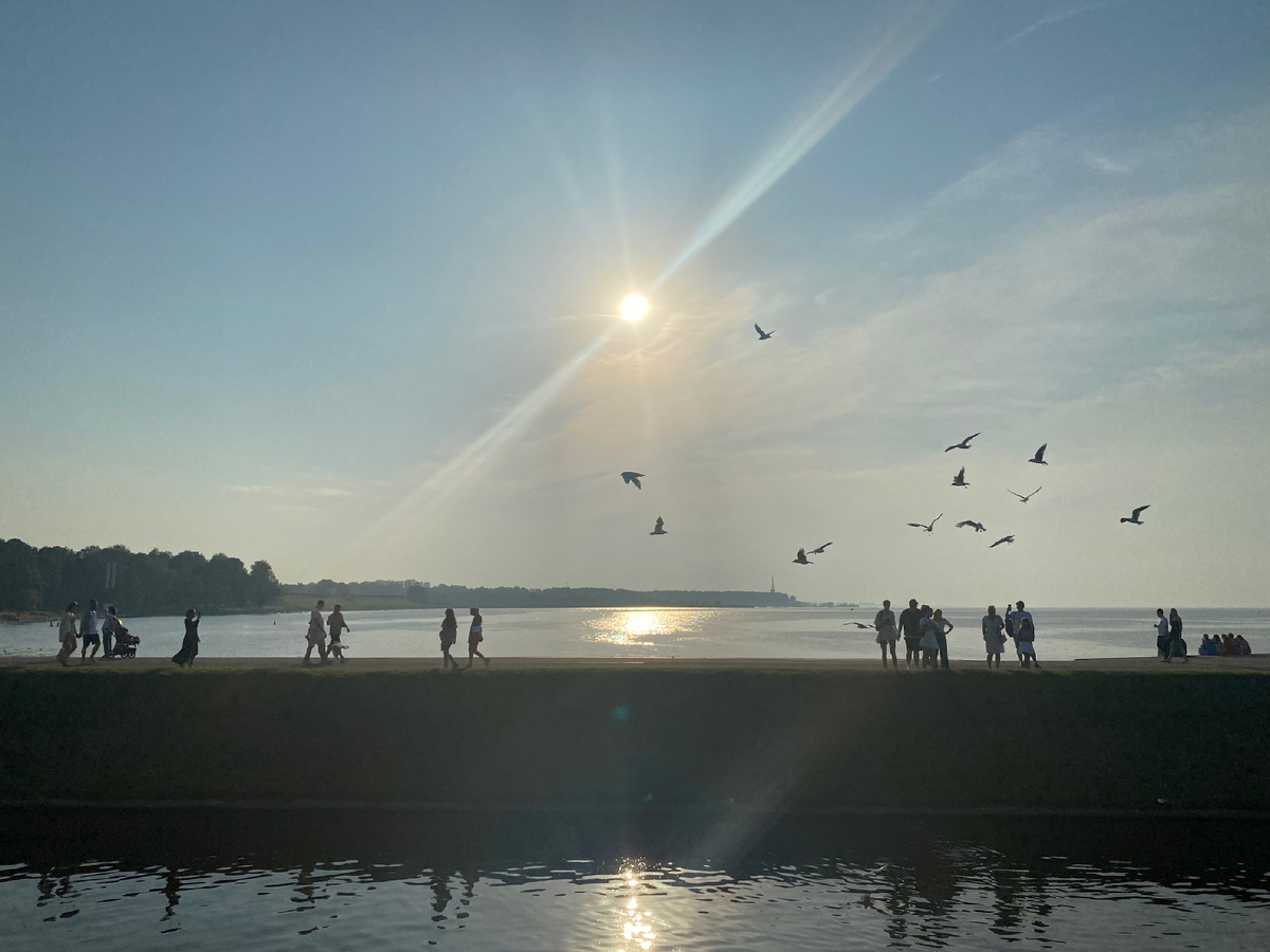 Фото автора.