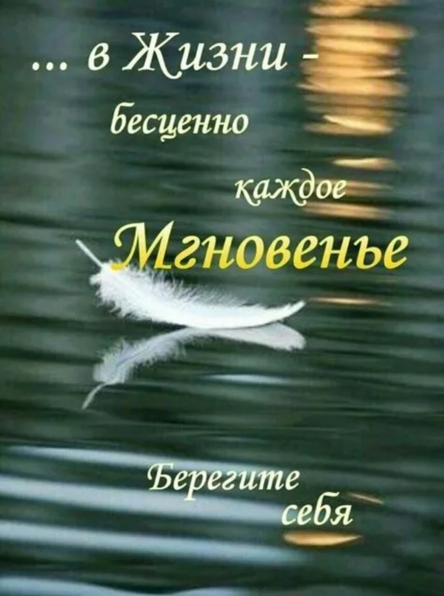 Яндекс.