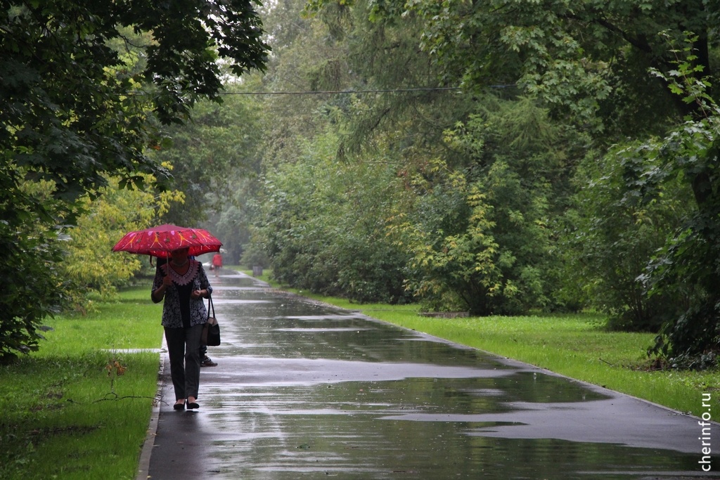   Сегодня ожидаются кратковременные дожди, местами грозы, воздух прогреется до +20...+23 градусов.