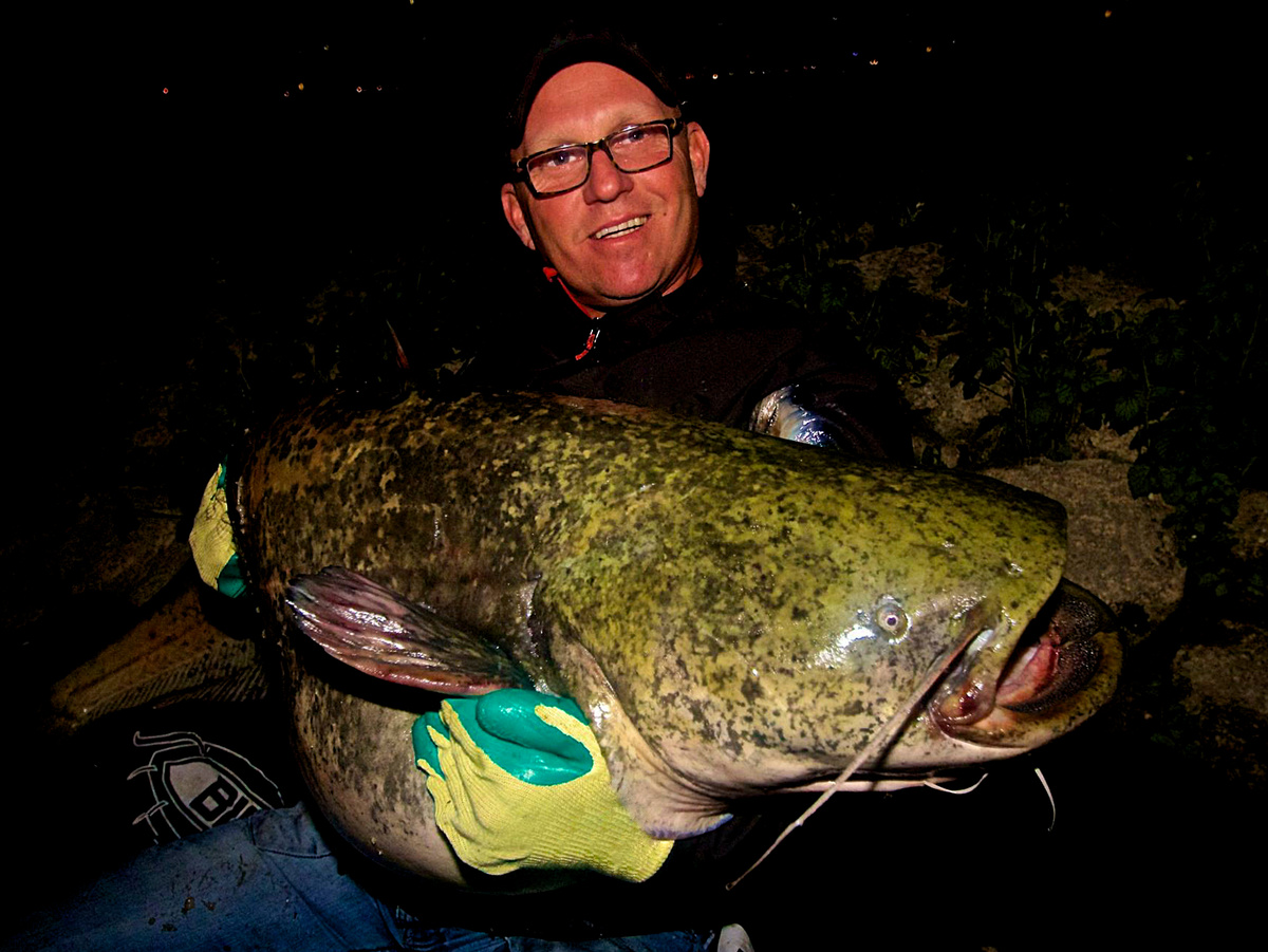 Разверзнутая пасть сома кажется устрашающей. Но это вовсе не мрачный бездонный колодец, в который с лёгкостью проскальзывает среднестатистический человек.  Фотография: Aliasgino, CC BY-SA 4.0