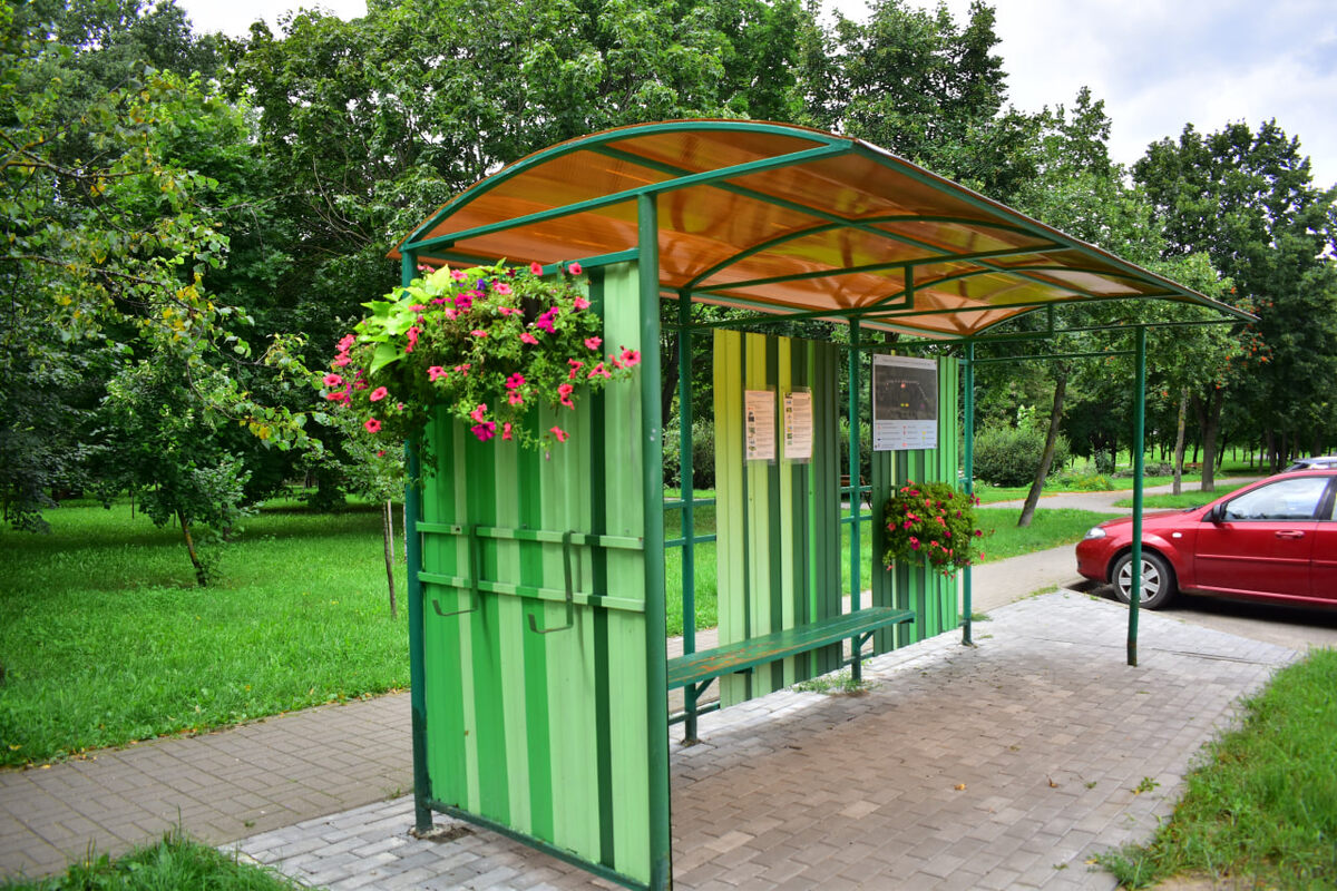 Фото Анна Игнатеня для 024.by