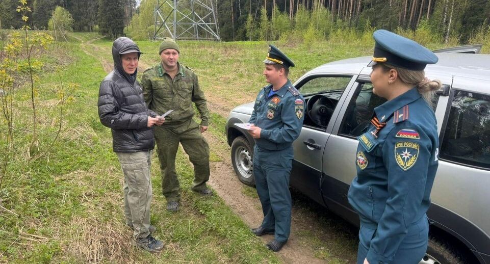    Комитет лесного хозяйства Московской области