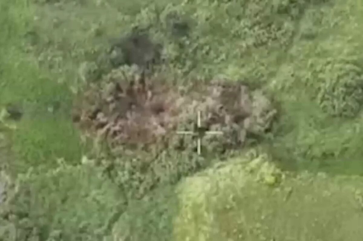    Операторы БПЛА показали заваленные телами солдат ВСУ поля в Сумской области
