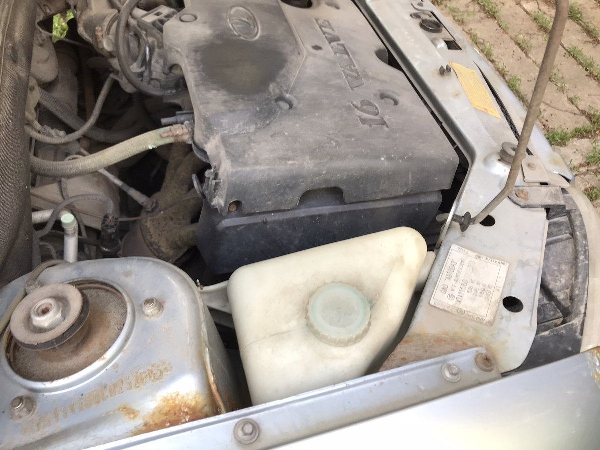 Ремень привода ГРМ ВАЗ спрятался под пластиковым кожухом. Фото Тищенко Василий.