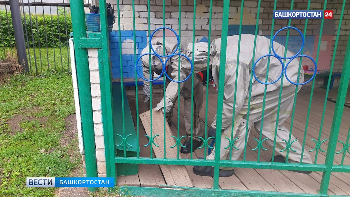    Спасатели ликвидировали осиное гнездо в детском саду в Уфе