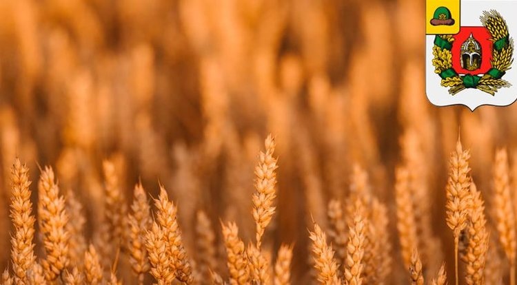    Фото: Минсельхозпрод Рязанской области