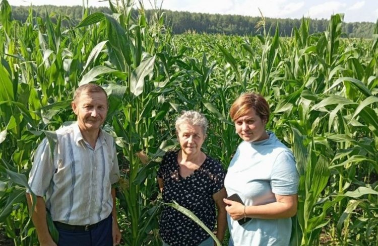    Фото: Сыктывкарский филиал ФГБУ РосАгрохимслужба России