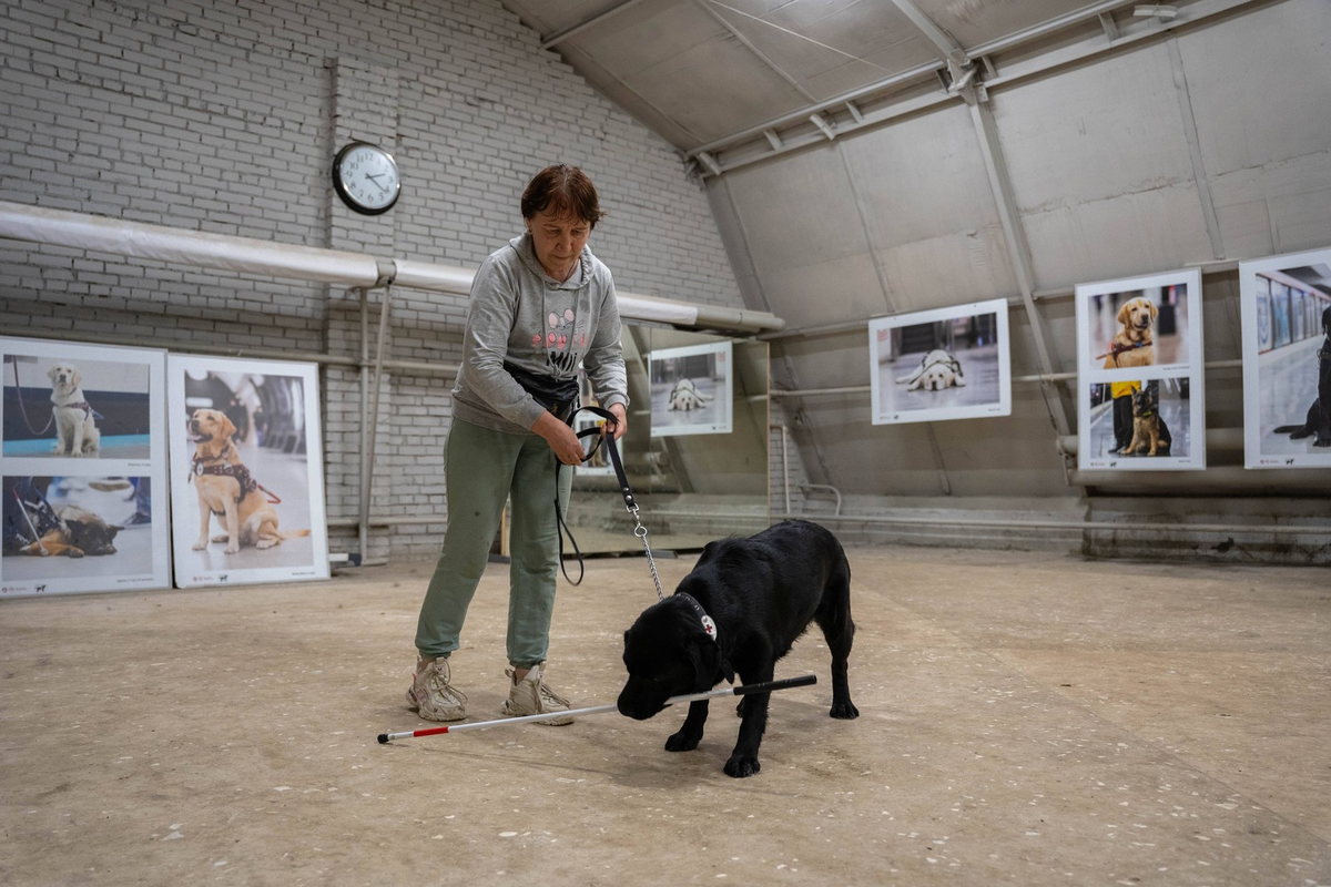 Фото: Александр Плонский / ВиЖ