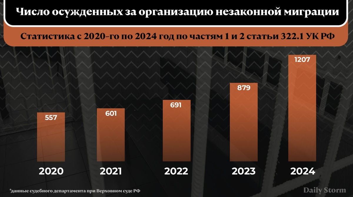    Инфографика: Daily Storm