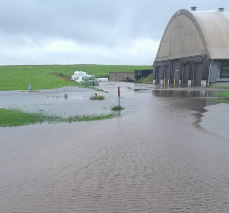 Последствия проливных дождей в одном из хозяйств Латвии © Крестьянский Сейм