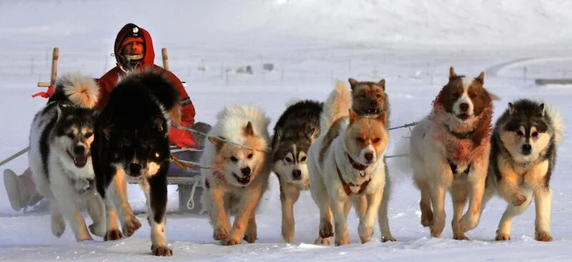 -Ужас! Где медведь? -Ты что, веришь в эти сказки? Нет тут никакого медведя, нечего бояться, так, что едем в своём ритме!