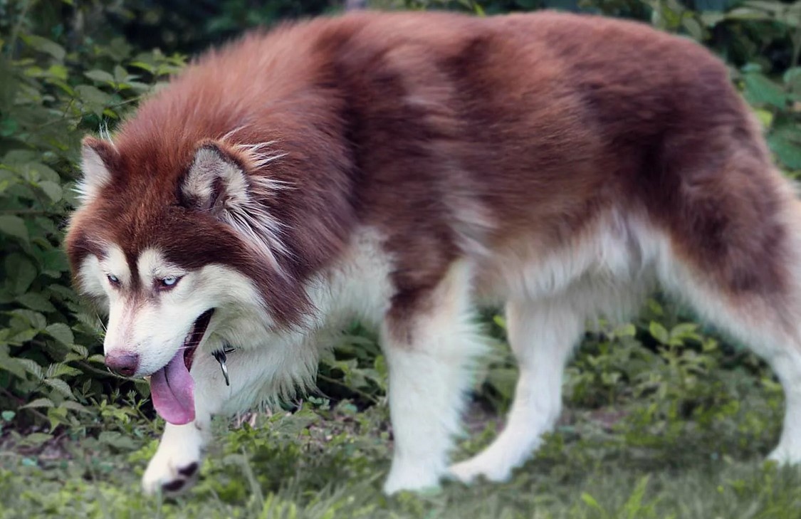 Невозможно умереть 4 раза!