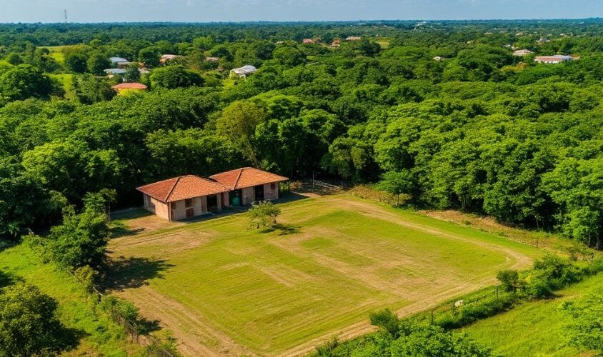    Фото: создано ИИ Шедеврум