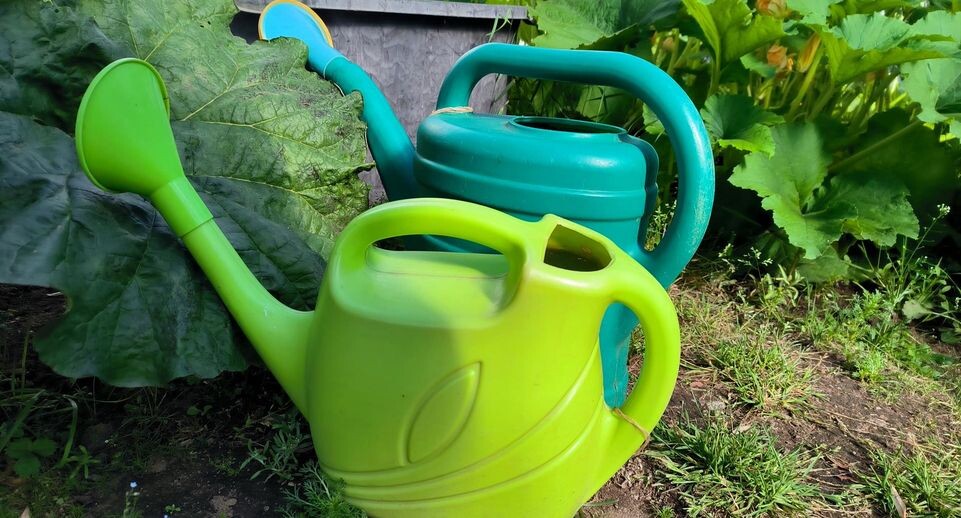    Maksim Konstantinov / www.globallookpress.com