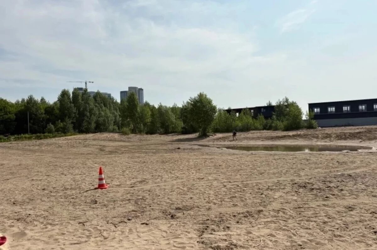    Водитель извинился за наезд на женщину на пляже в Новосибирске