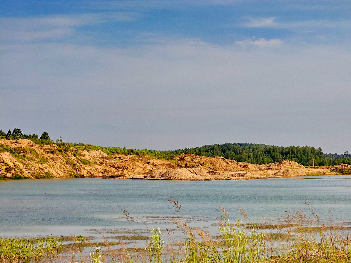 Сычёвские пески, 2025 год (отсюда и дальше все фото мои собственноручные)