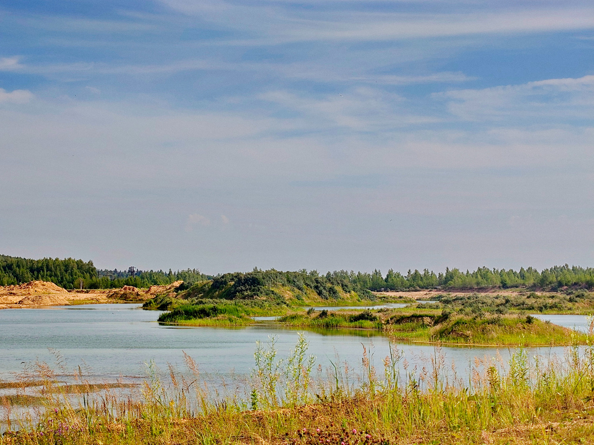 Сычёвские пески-2025