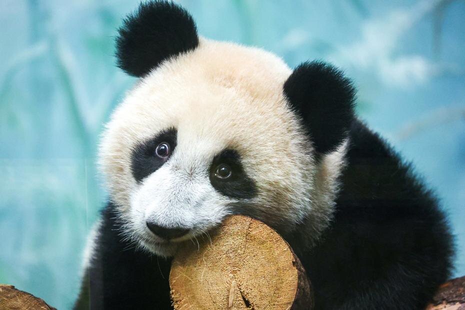    Сергей Петров/NEWS.ru