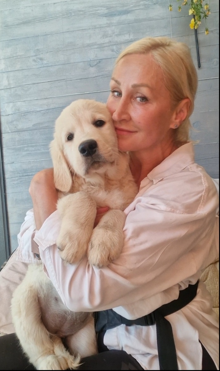 Щенок золотистого ретривера , 3 месяца.